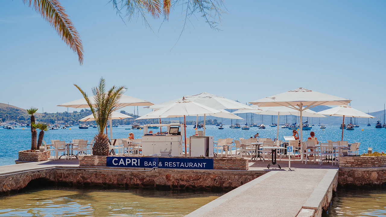 traidor importante Transitorio Restaurants in Puerto Pollensa - Discover Mallorca