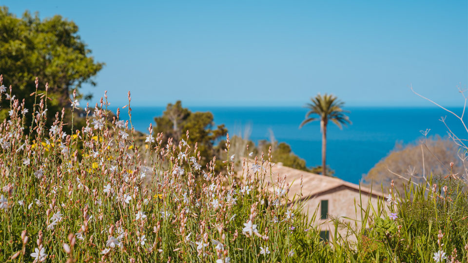 Mallorca im Mai