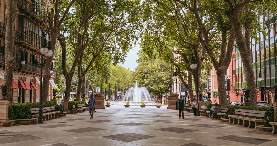 Shopping in Palma
