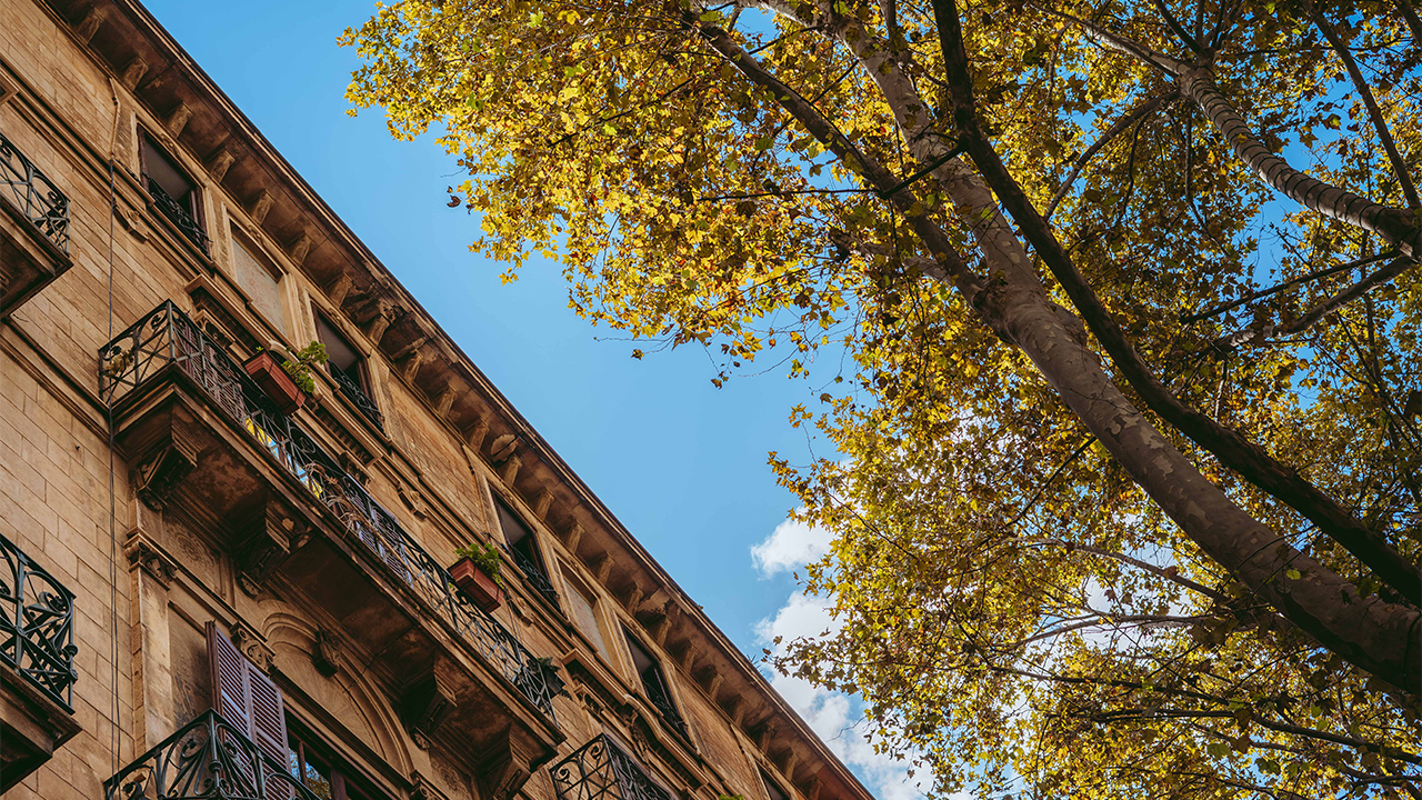 Paseo del Borne