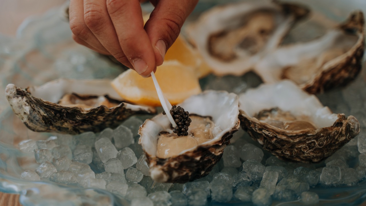 The Blue Bar Palma Nova